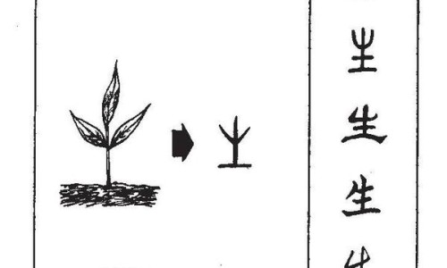 参桂理中丸禁忌网-分享参桂理中丸的临床应用，参桂理中丸用法用量知识库